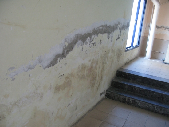 CHỐNG THẤM DỘT TƯỜNG NHÀ GIÁ RẺ, UY TÍN TRIỆT ĐỂ 100%